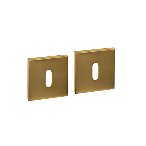 Intersteel Q-collection Sleutelrozetten verdekt 53x53x6mm PVD messing mat