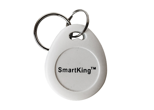 SmartKing EM 125 KHz tag